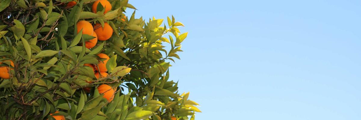 عروض نهاية الأسبوع