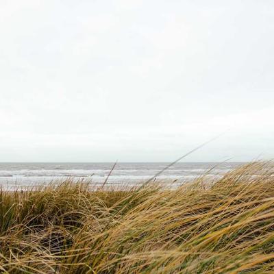 Persil مسحوق أبيض 4كغ