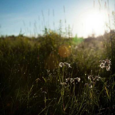 Dettol مطهر متعدد الاستخدامات 500مل