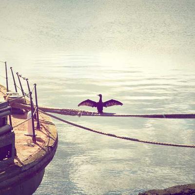 Dettol سبراي تنظيف وتعقيم 450مل