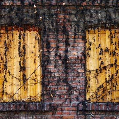 Dettol جل الاستحمام أصلي 250مل